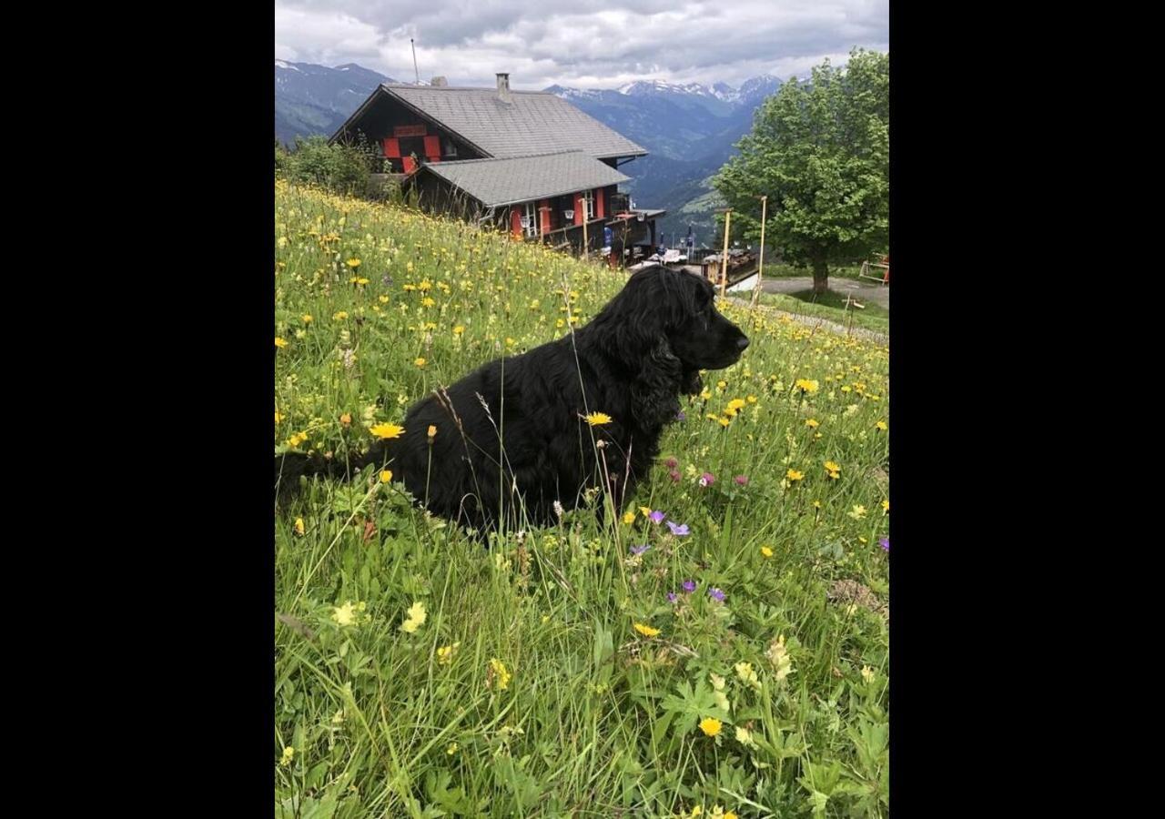 Bergpension Battagliahuette Malix Bagian luar foto